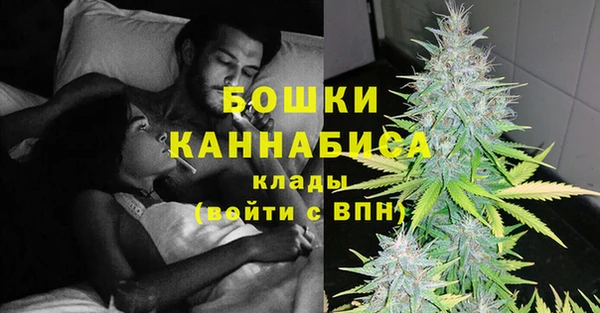 ПСИЛОЦИБИНОВЫЕ ГРИБЫ Алексеевка