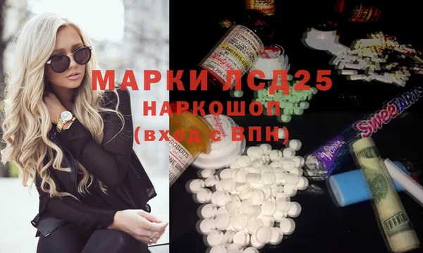 стаф Алексин