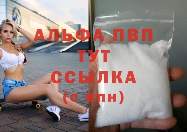 стаф Алексин